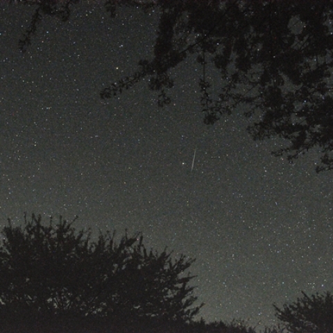 こと座流星群(流星)