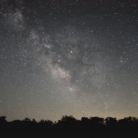 南天の空を昇るさそり座と天の川
