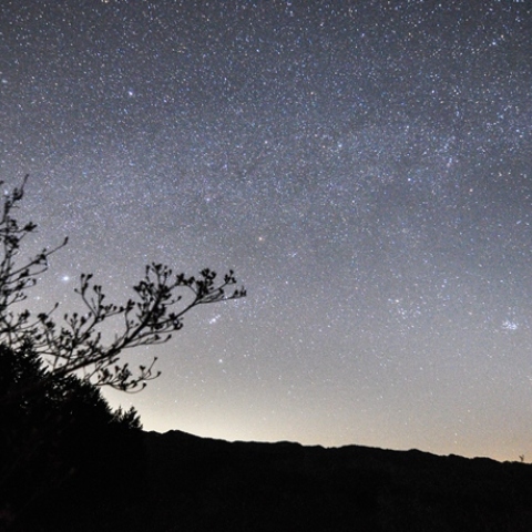 西の空に沈む天の川とシリウス・オリオン座