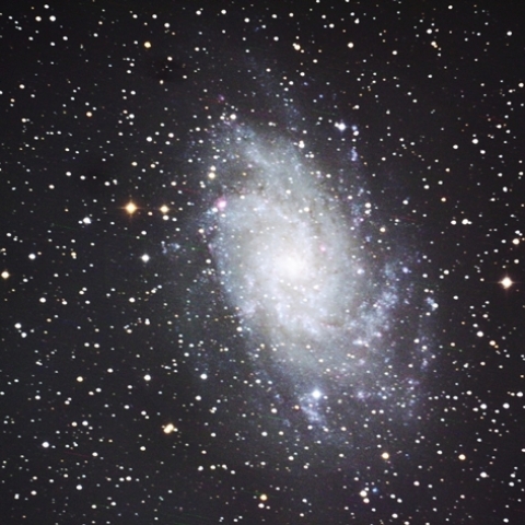 M33 さんかく座の渦巻銀河(さんかく座銀河)