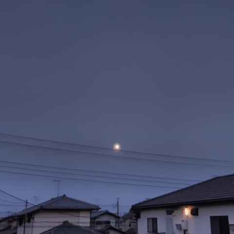 東の空を昇り始めた満月前日の月