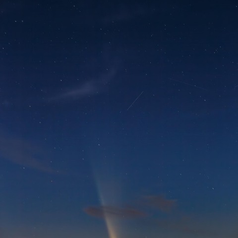 C/2023 A3 紫金山・アトラス彗星