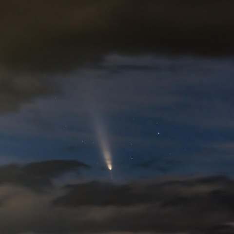 C/2023 A3 紫金山・アトラス彗星