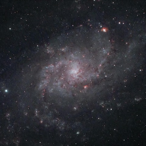 M33