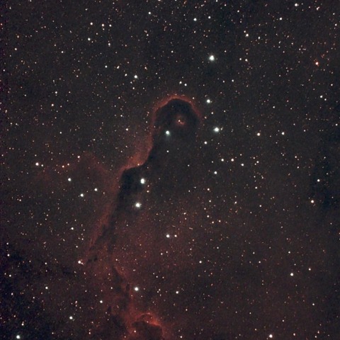 VDB142 象の鼻星雲