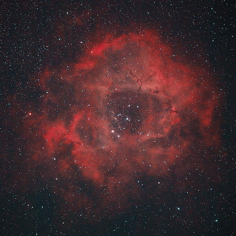 NGC2237 バラ星雲