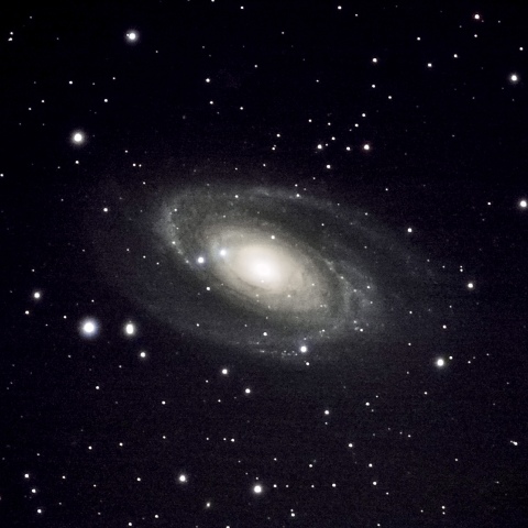 M81