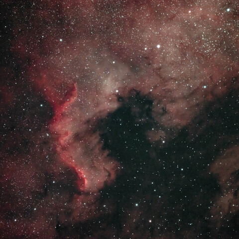 NGC7000 北アメリカ星雲