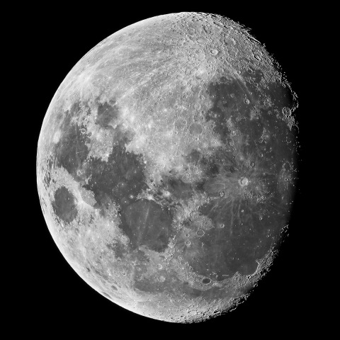 月齢10.7（TP2415風味）