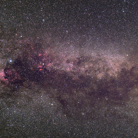 天の川に羽ばたく白鳥