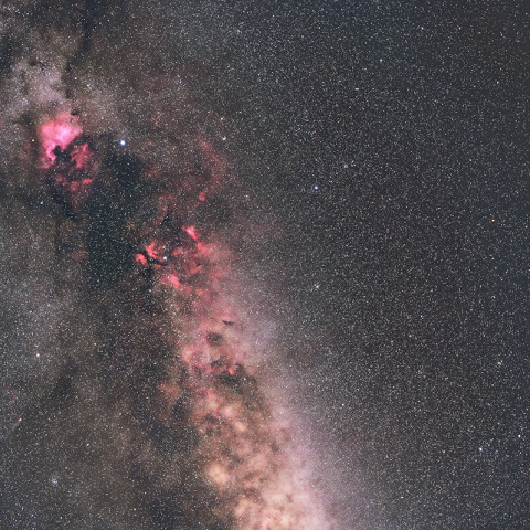 夏の天の川ロスト（こと座、はくちょう座の星野）
