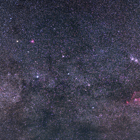 カシオペヤ付近の星野