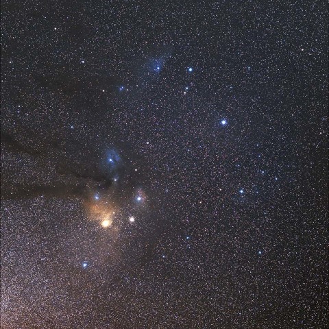 さそり座頭部の星野