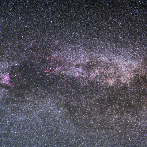 天の川に羽ばたく白鳥