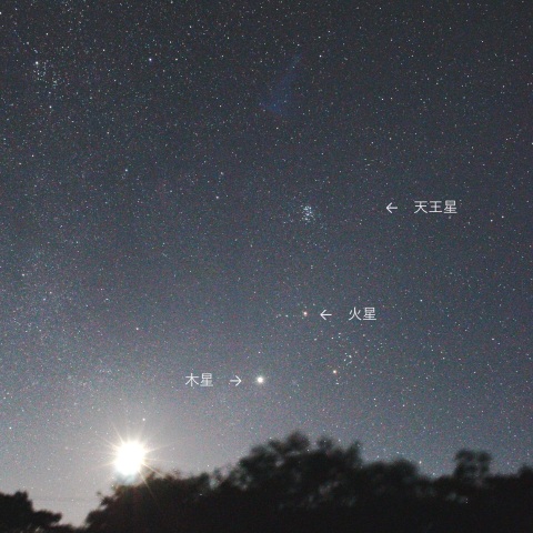 夜明け前の共演