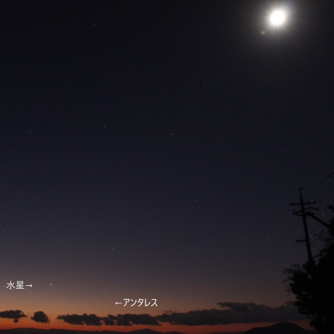 西方最大離角の水星、アンタレス、下弦の月＆スピカ