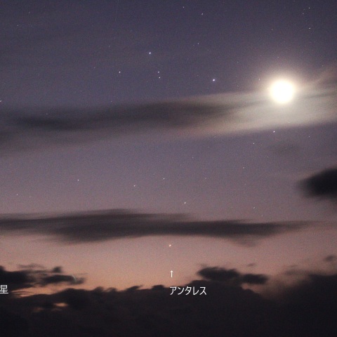 水星とアンタレスと月  20241228