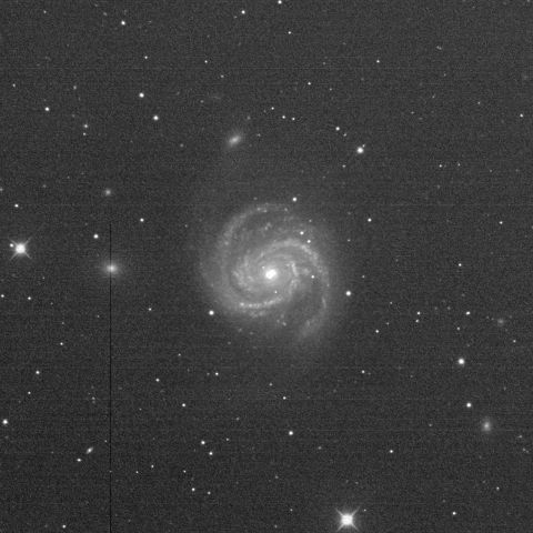 超新星SN2019ehk@M100銀河