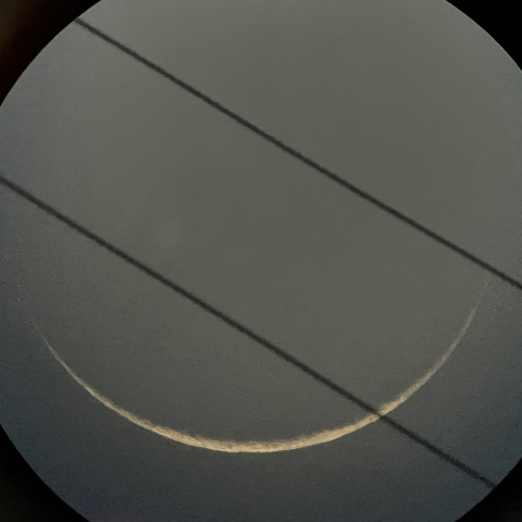 月（2025年3月1日）