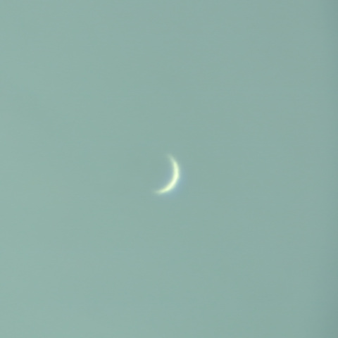 金星（2025年3月7日）