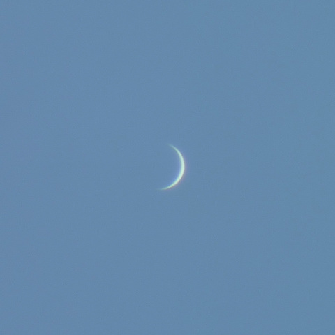 金星（2025年3月9日）