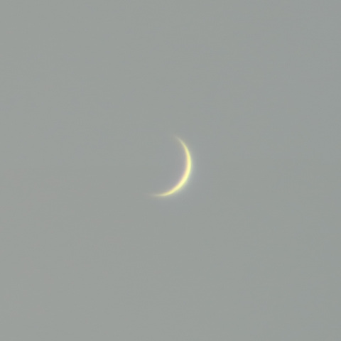 金星（2025年3月10日）