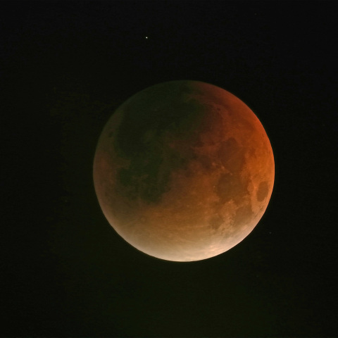 皆既月食（2025年9月8日）