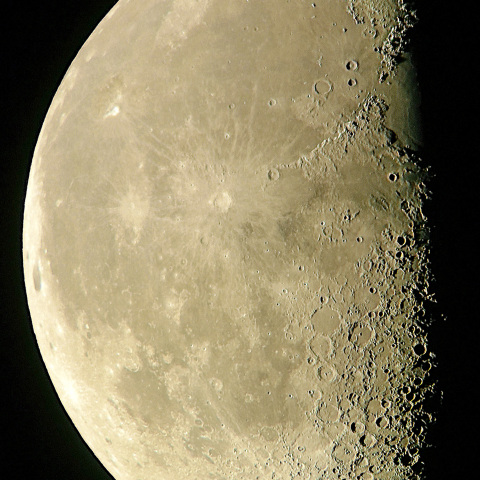 月(2026年1月10日)