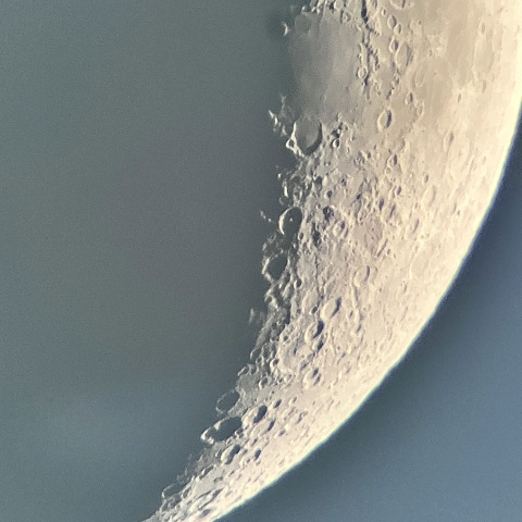 月（2026年1月23日）