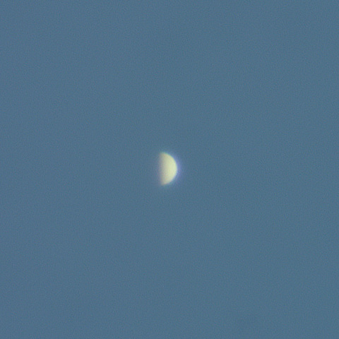 金星（2026年8月9日）