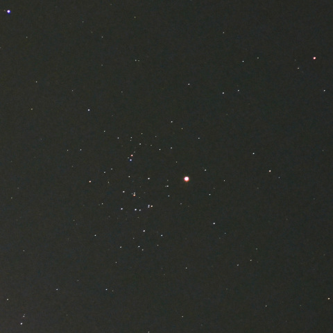 火星とプレセペ星団（2026年10月11日）