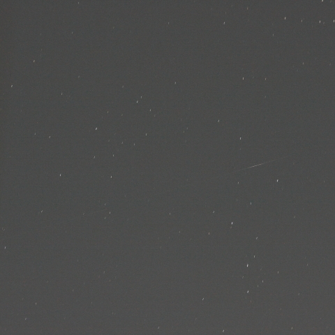 [19822] EXOS-D (AKEBONO)