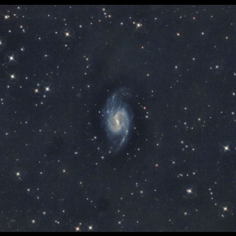 NGC 3359
