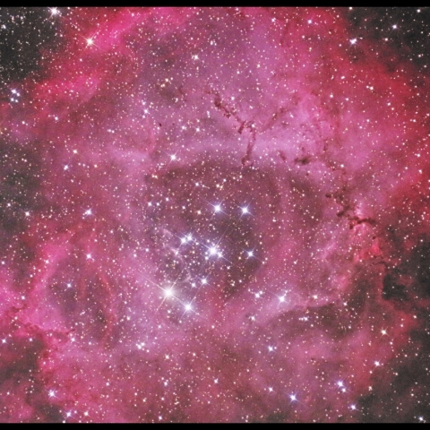 NGC 2237-9, NGC 2246（ばら星雲）