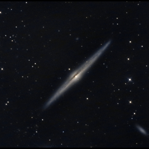 NGC4565