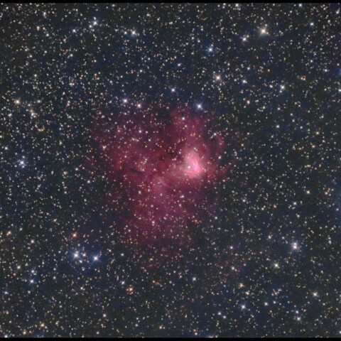 NGC1491（Sh2-206）