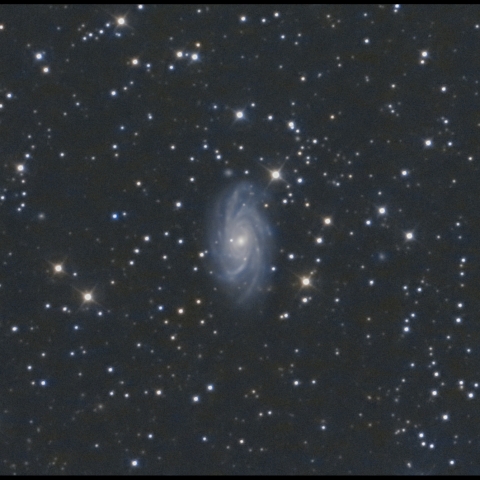 きりん座 NGC2336
