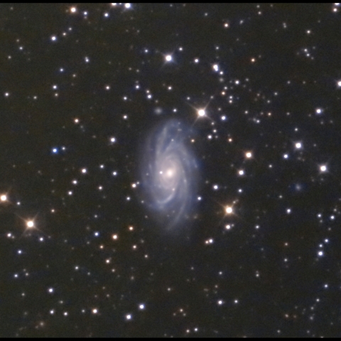 きりん座 NGC2336