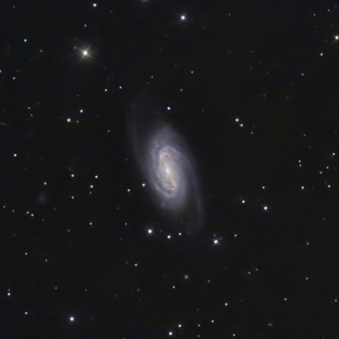 NGC2903