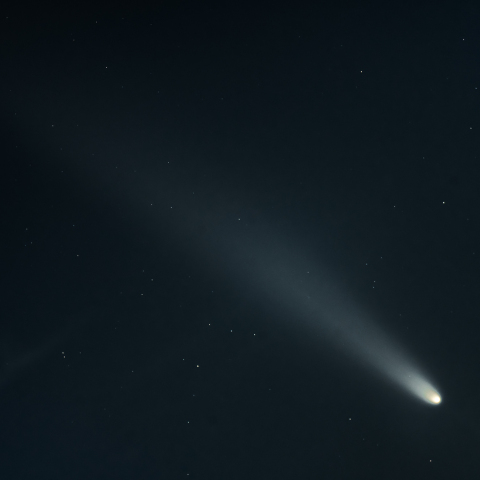 紫金山・アトラス彗星