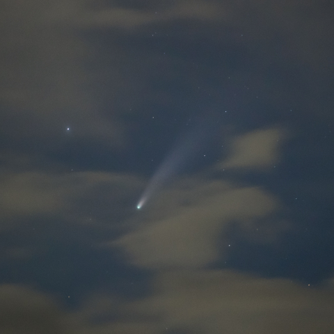 ネオワイズ彗星