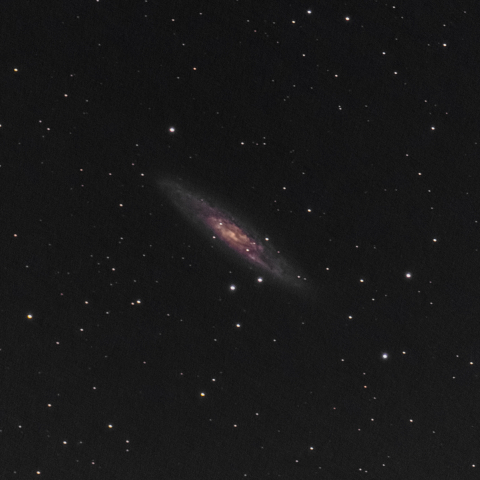 NGC253 彫刻室座