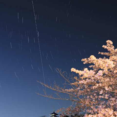 ISSと天宮2号と桜
