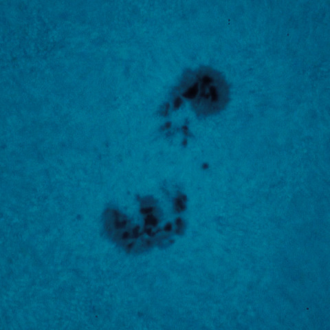 黒点半暗部周辺の現象(3474)　フォトショップによる画像処理テスト