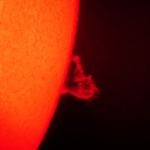 11/3　プロミネンス