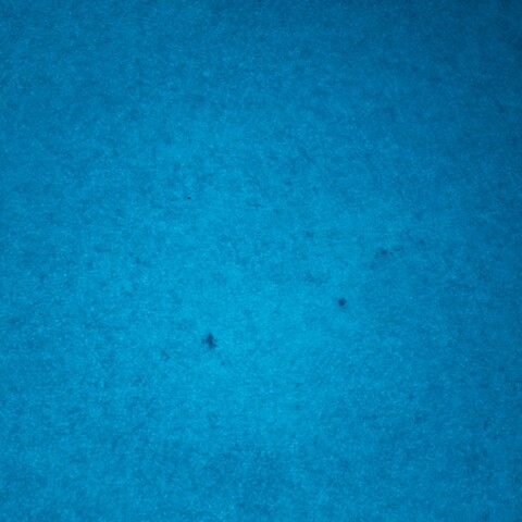 黒点半暗部周辺の現象(3473)11/3