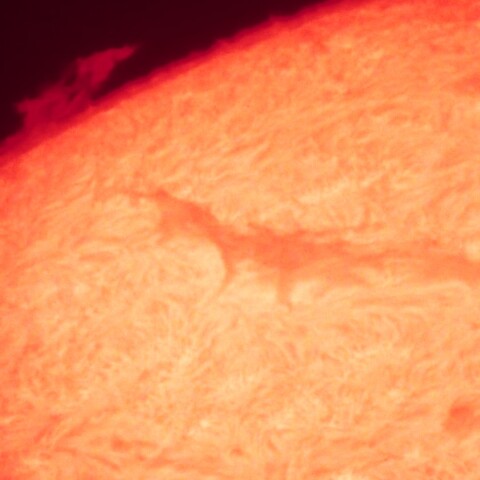 プロミネンス11/5