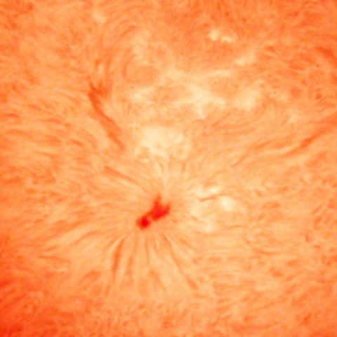 活動領域3477　11/5