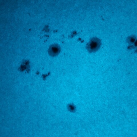 黒点半暗部周辺の現象(3490、3491、3492　など)11/23
