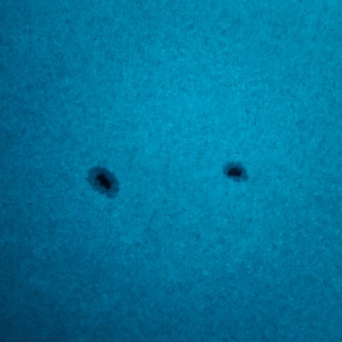 黒点半暗部周辺の現象(3505、3508)12/2